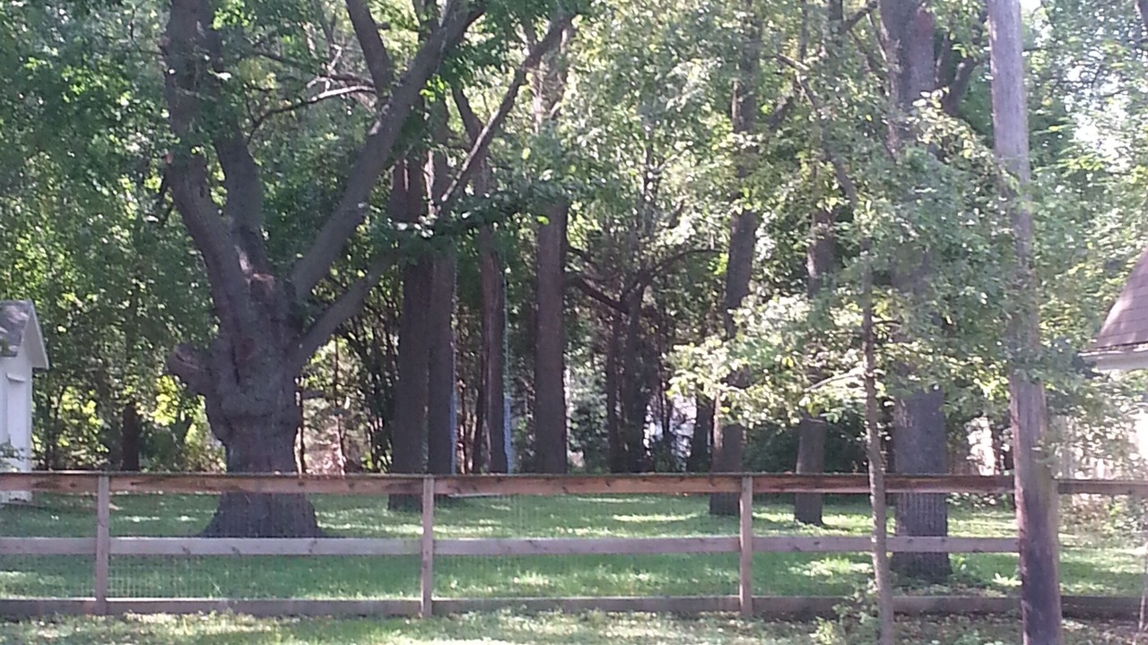 Photo of Others in Overland Park
