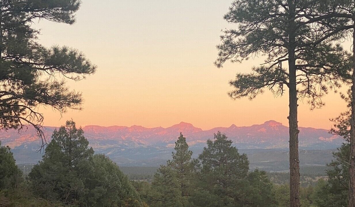 Photo of Others in Timber Ridge Ranch