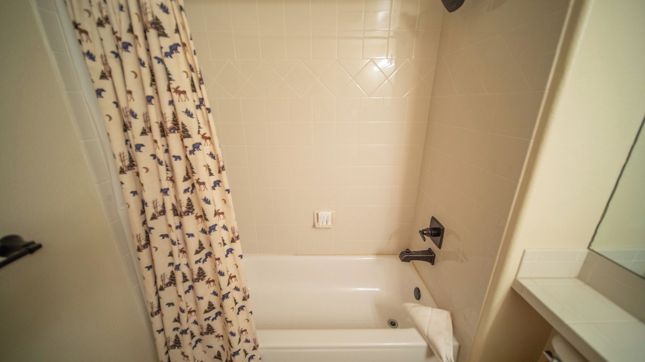 Photo of Bathroom in Mountain House