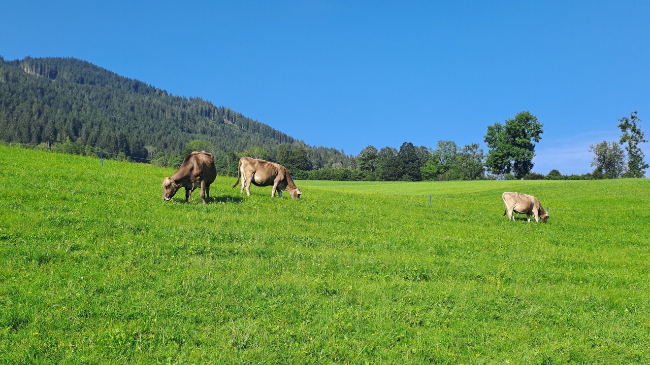 Photo of Others in Maria Alm am Steinernen Meer
