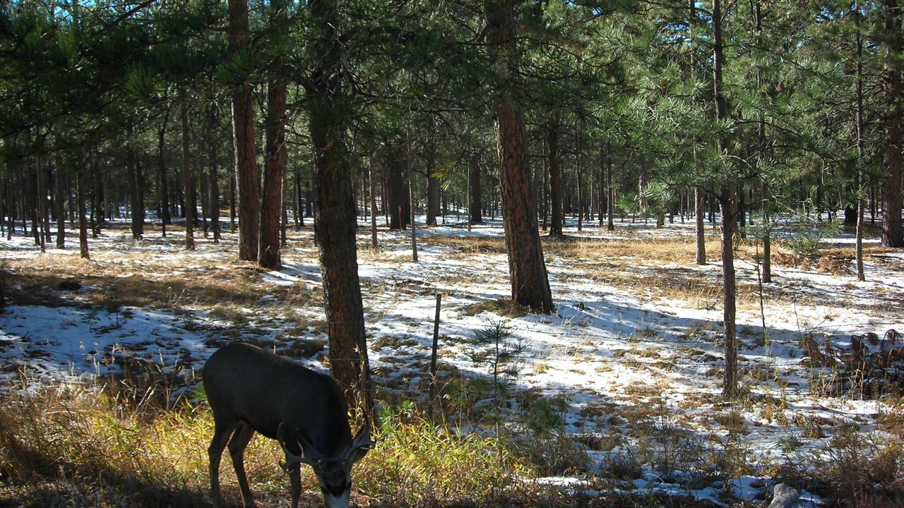 Photo of Outdoor in Lake George