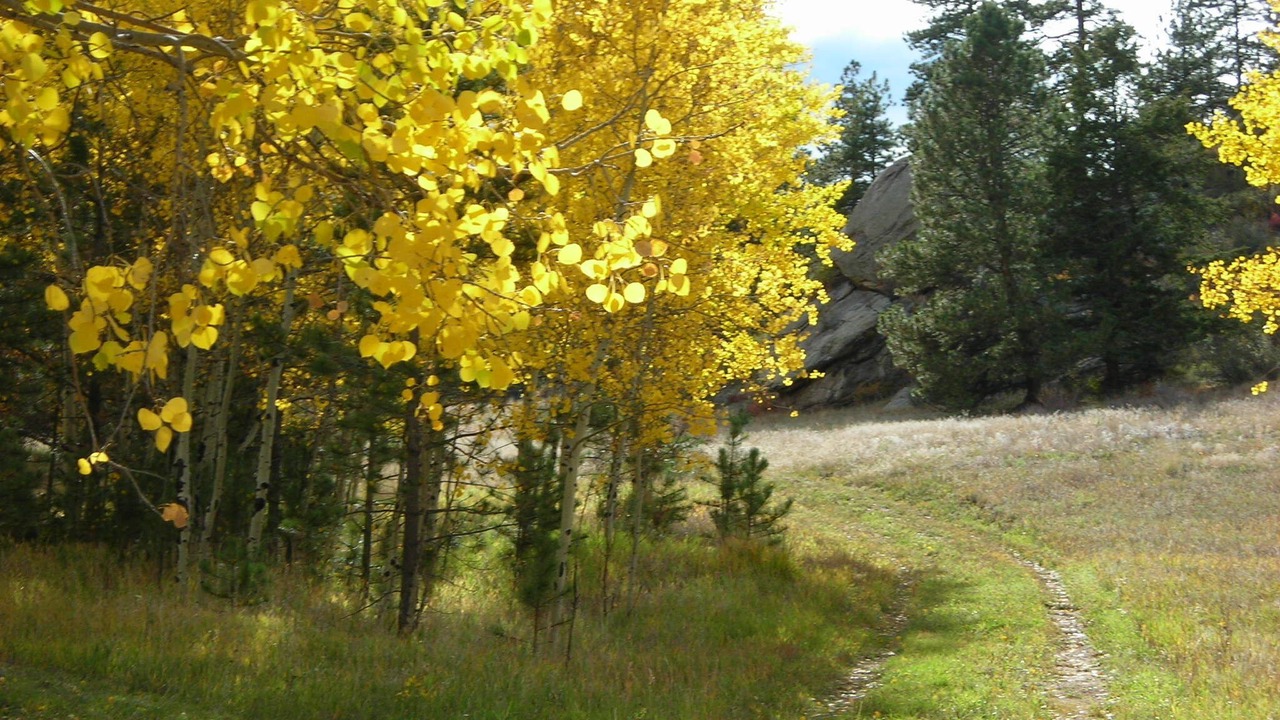 Photo of Outdoor in Lake George