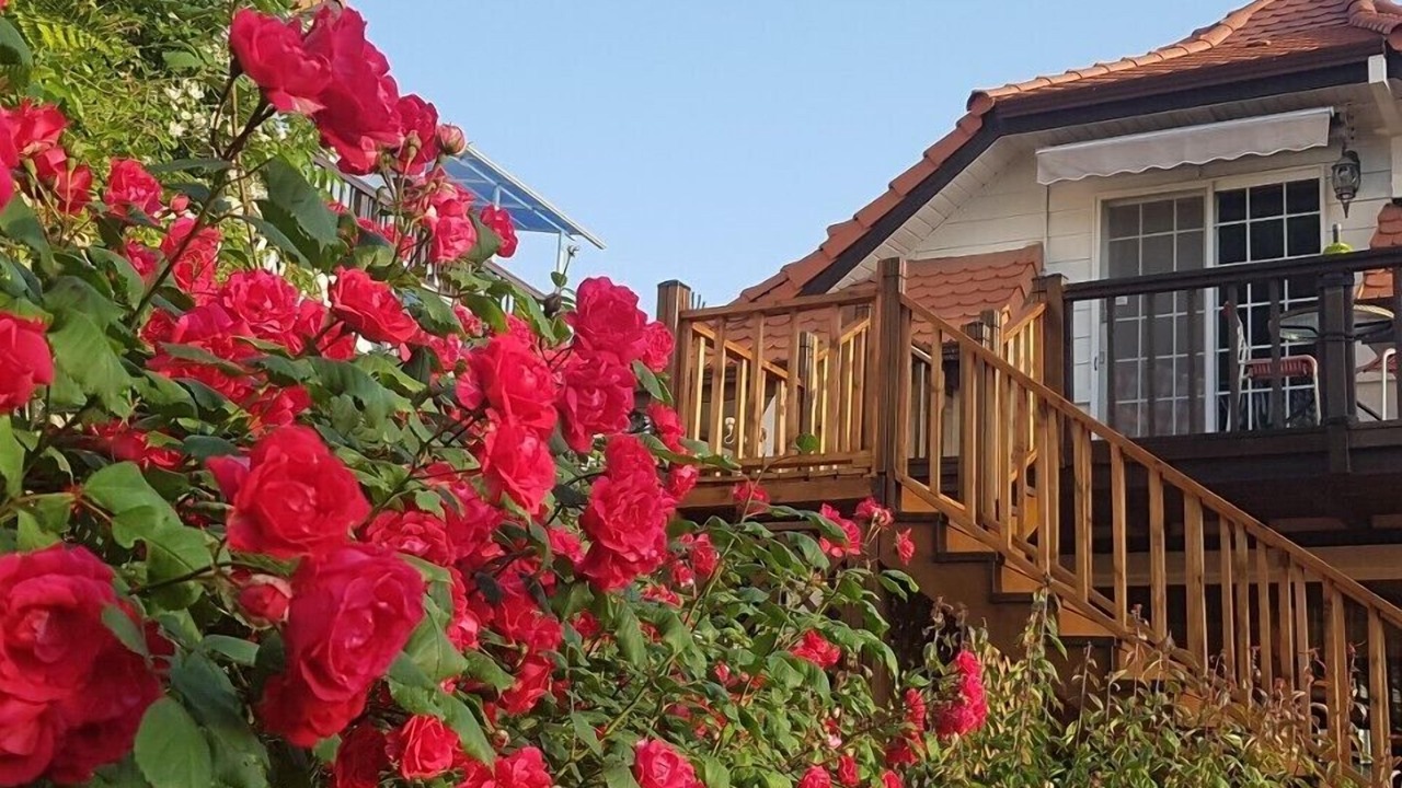 Photo of Patio Balcony in Mulgol