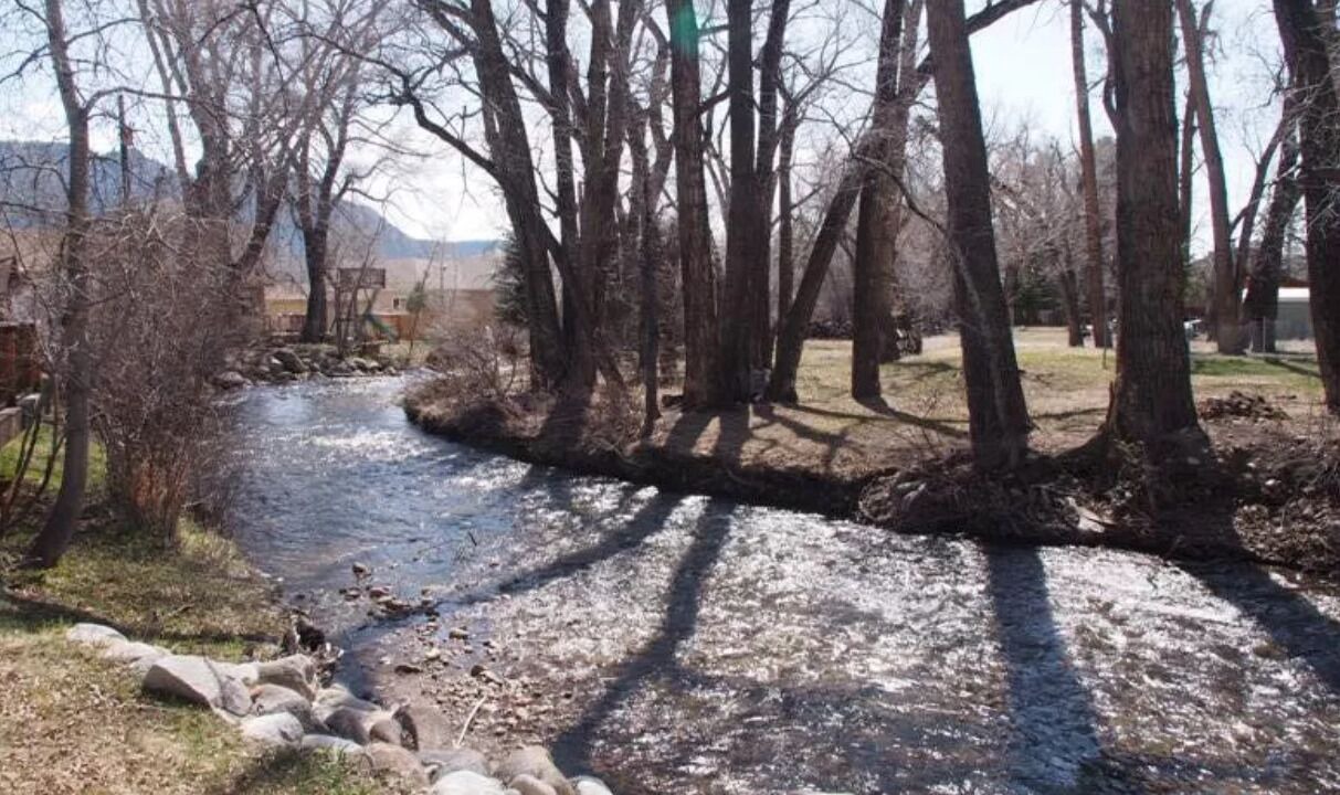 Photo of Others in Buena Vista