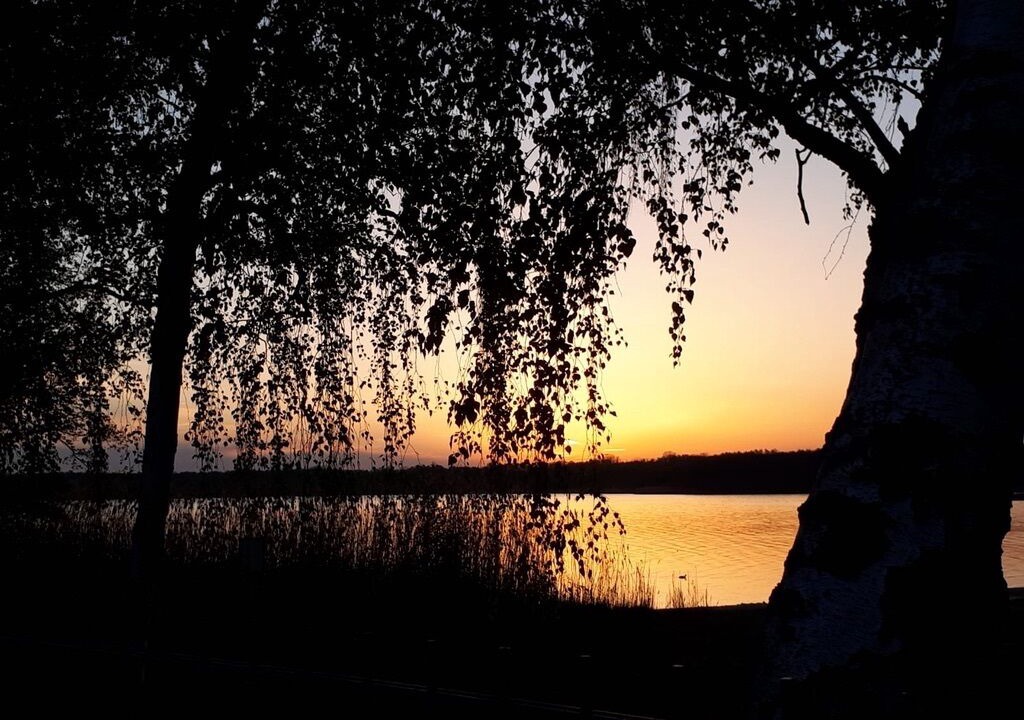 Photo of Others in Rangsdorf