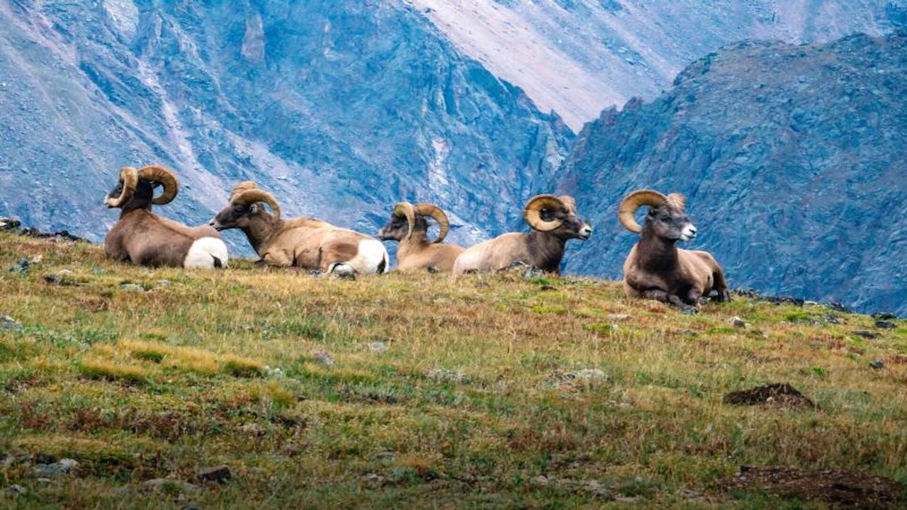 Photo of Others in Estes Park