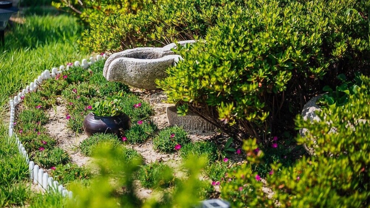 Photo of Outdoor in Pohang