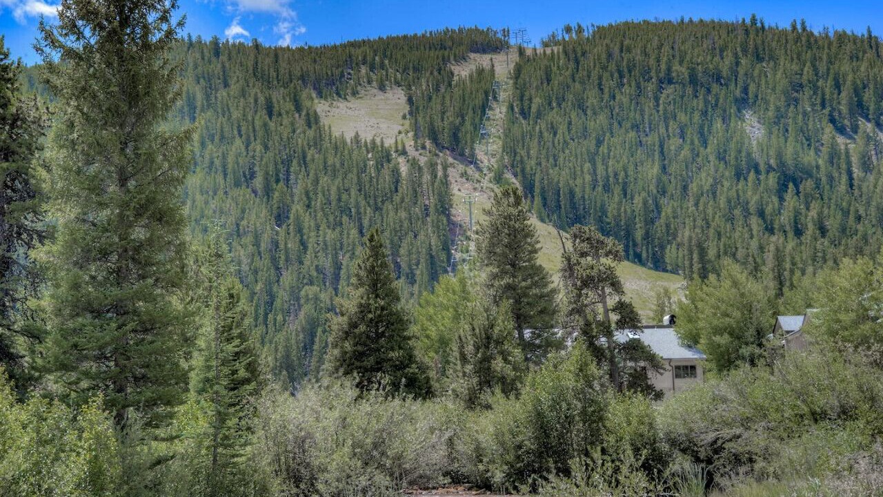 Photo of Others in Mountain House