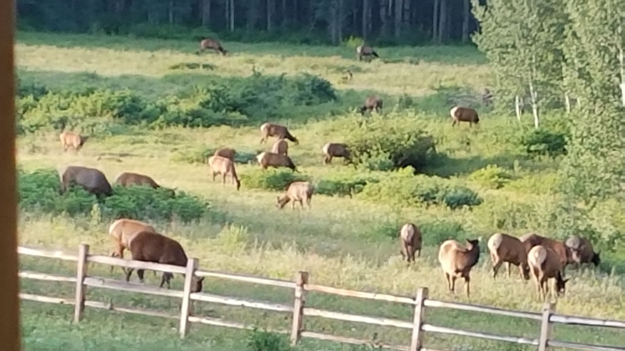 Photo of Others in Mancos