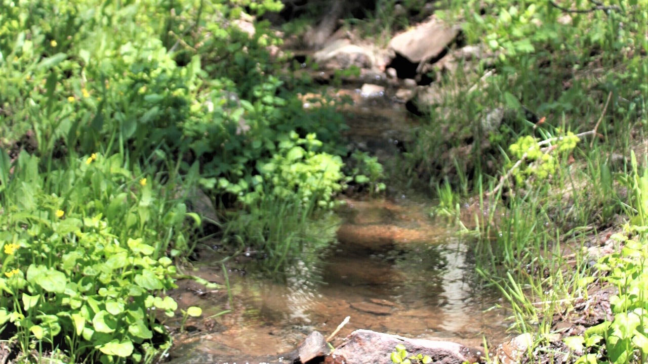Photo of Others in Mancos