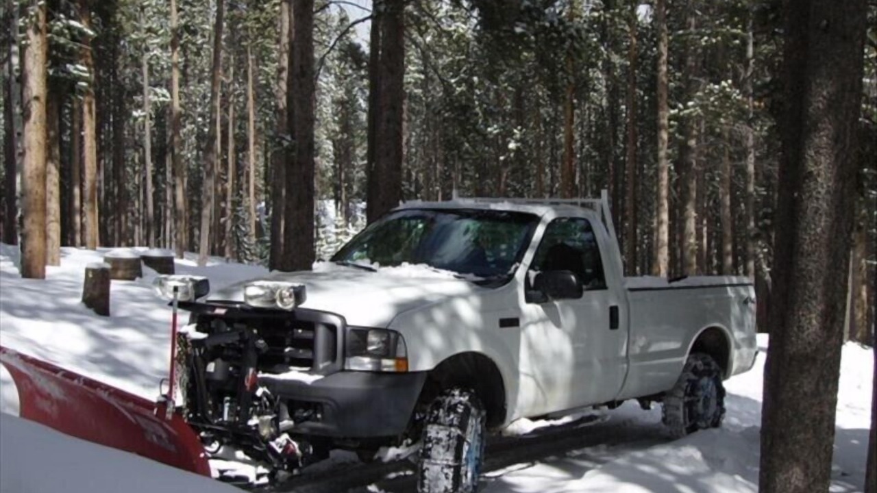 Photo of Others in Evergreen