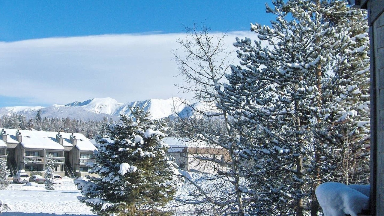 Photo of Others in Fraser
