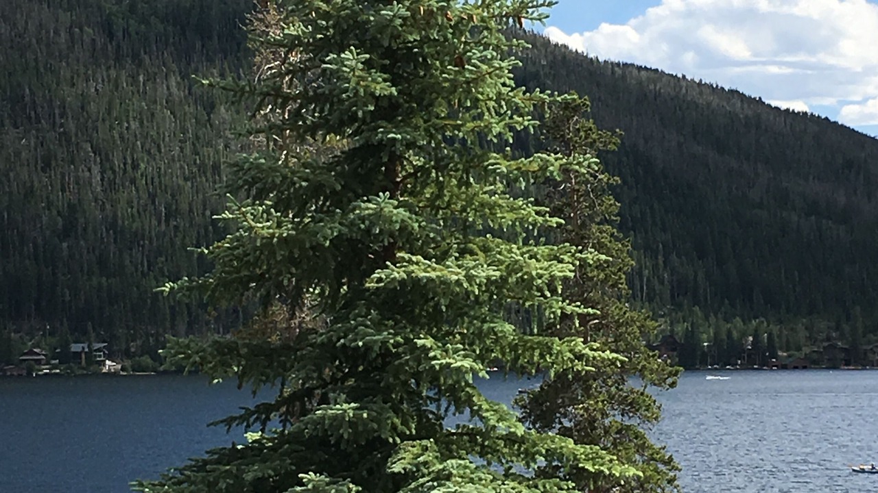 Photo of Others in Grand Lake