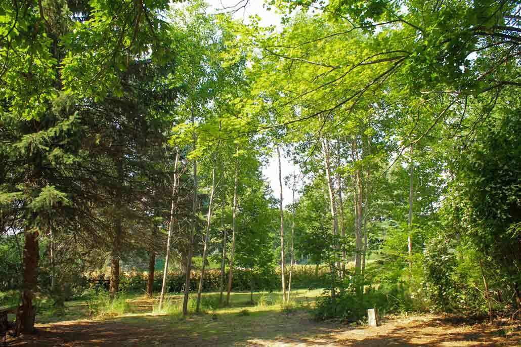 Photo of Outdoor in Kleinzerlang