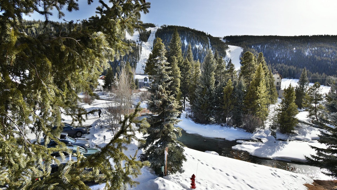 Photo of Others in Mountain House