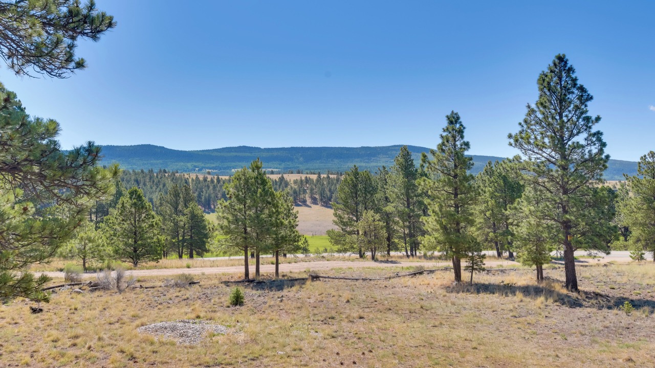 Photo of Others in Angel Fire