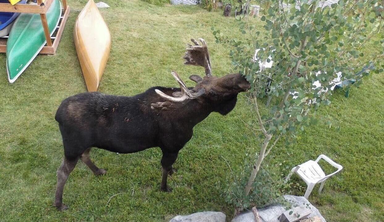 Photo of Others in Grand Lake
