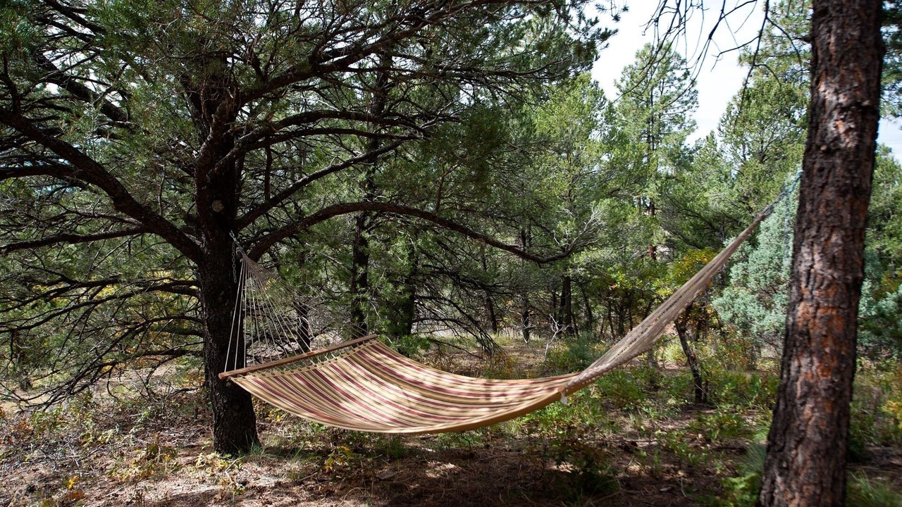 Photo of Others in Durango