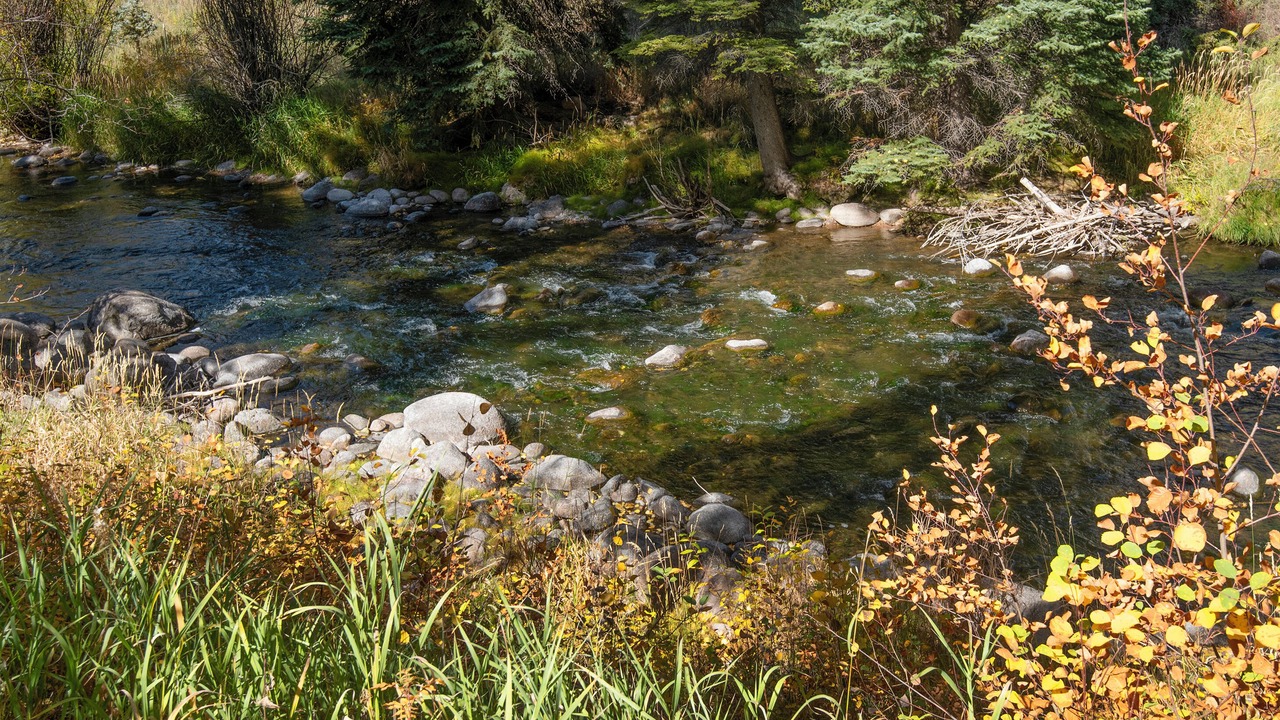 Photo of Others in Timbercreek Lodges