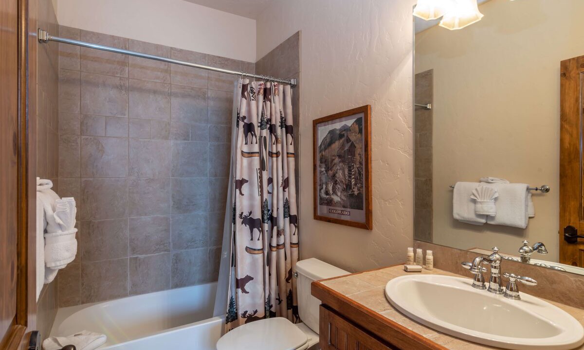 Photo of Bathroom in Bear Crossing