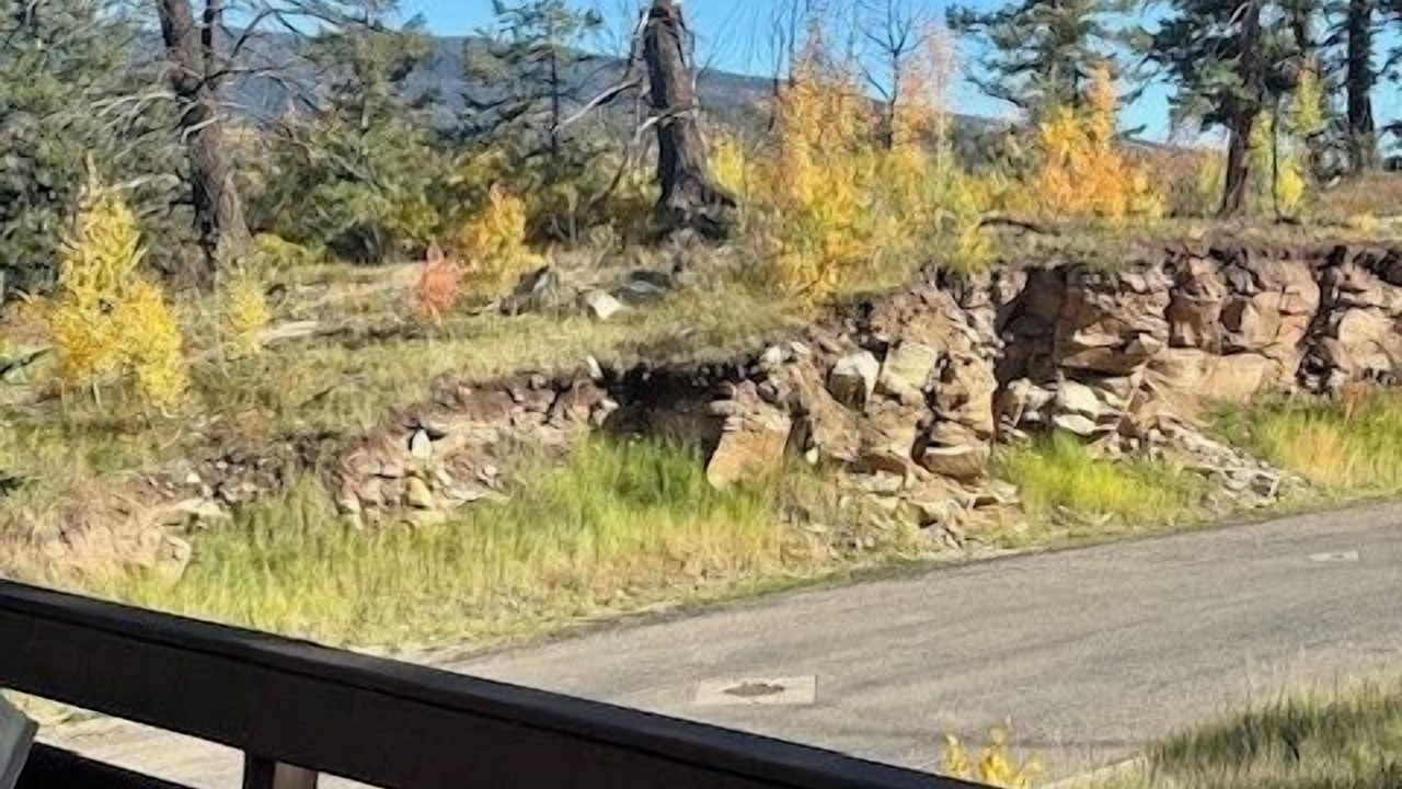 Photo of Others in Purgatory