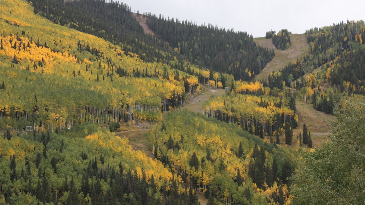 Photo of Others in Telluride