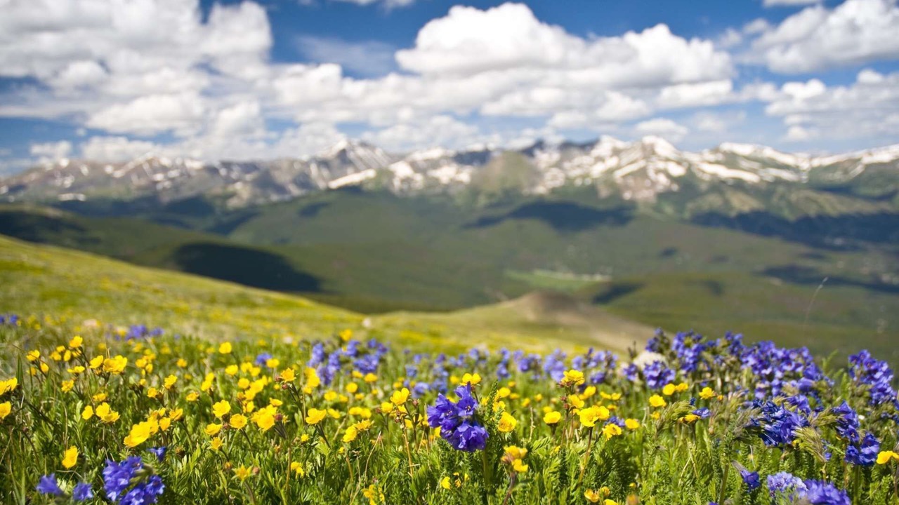 Photo of Outdoor in Breckenridge Heights