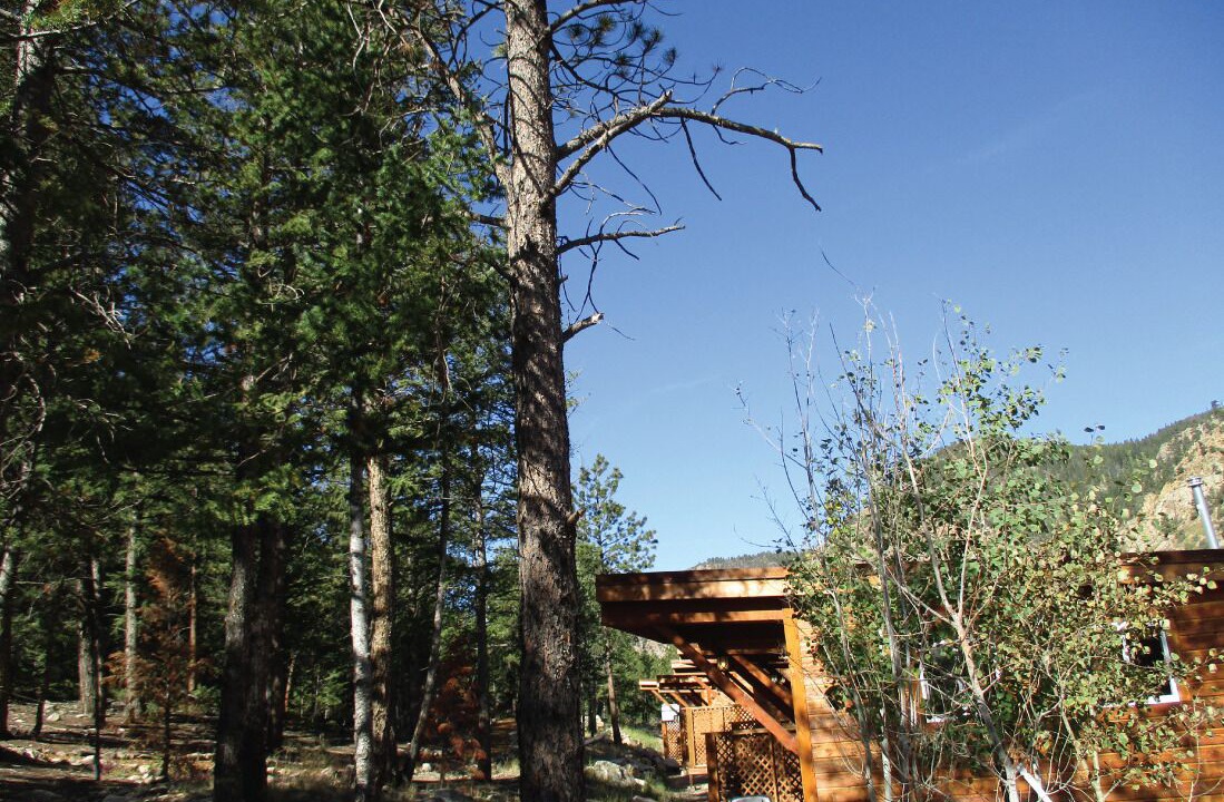 Photo of Outdoor in Idaho Springs