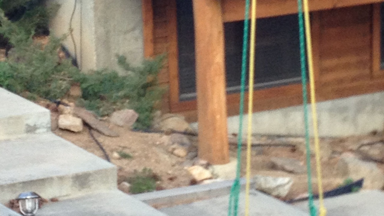 Photo of Others in Estes Park