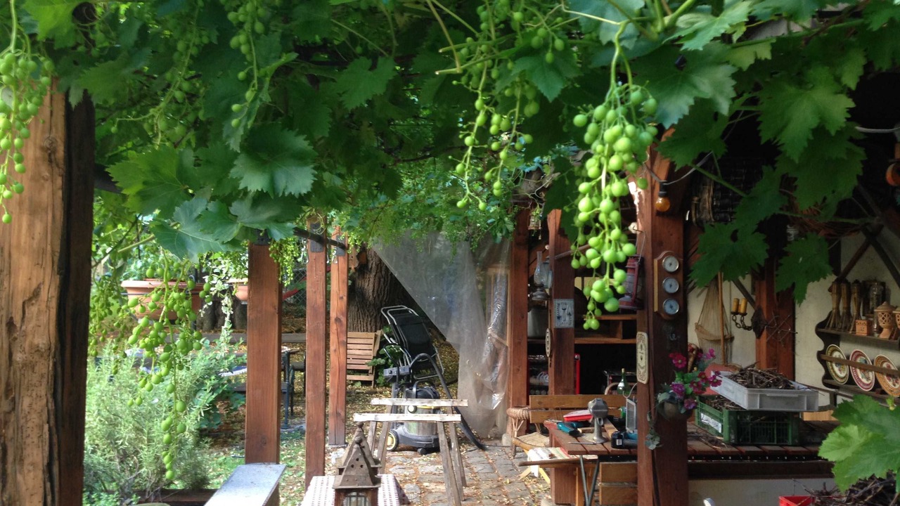 Photo of Outdoor in Erdberg