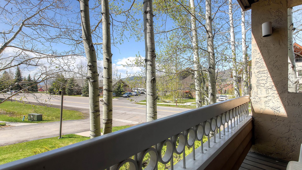 Photo of Others in Steamboat Springs