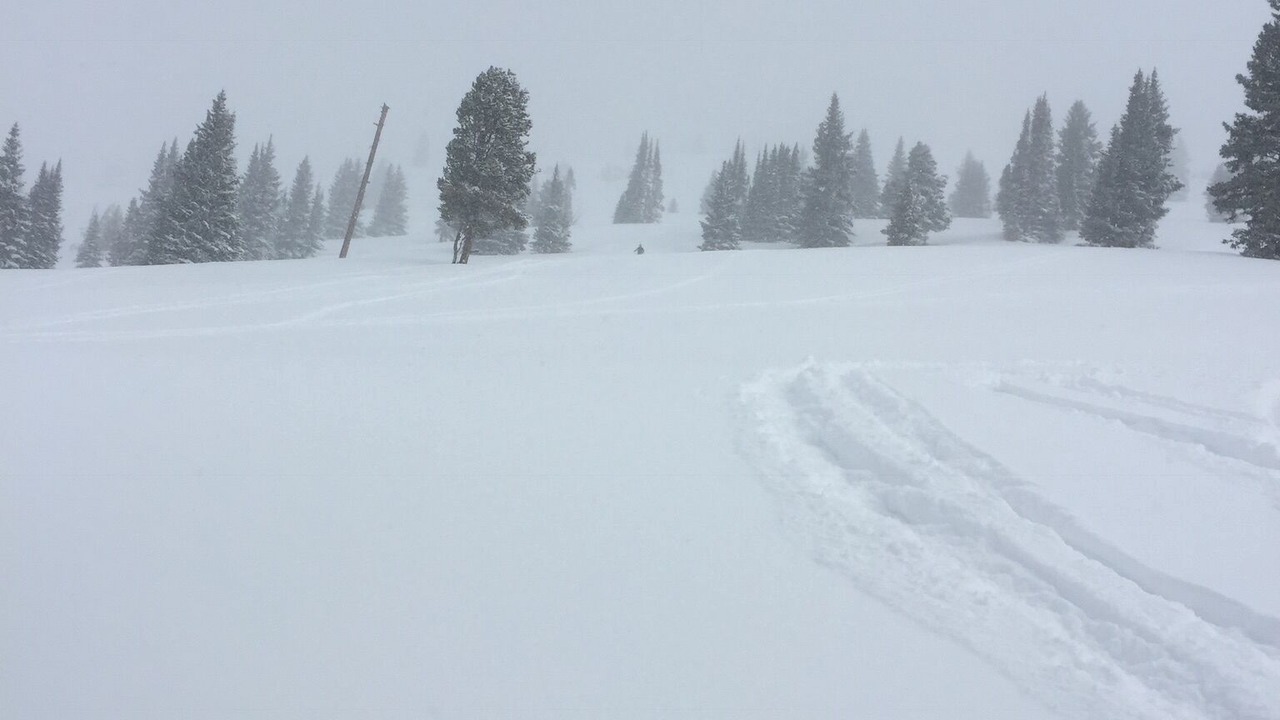 Photo of Others in Intermountain