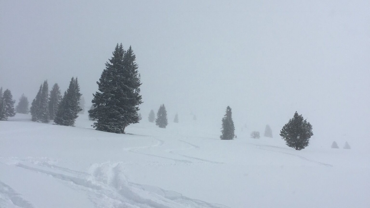 Photo of Others in Intermountain