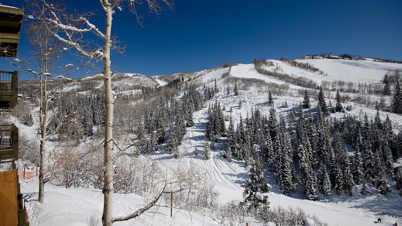 Photo of Others in Steamboat Springs