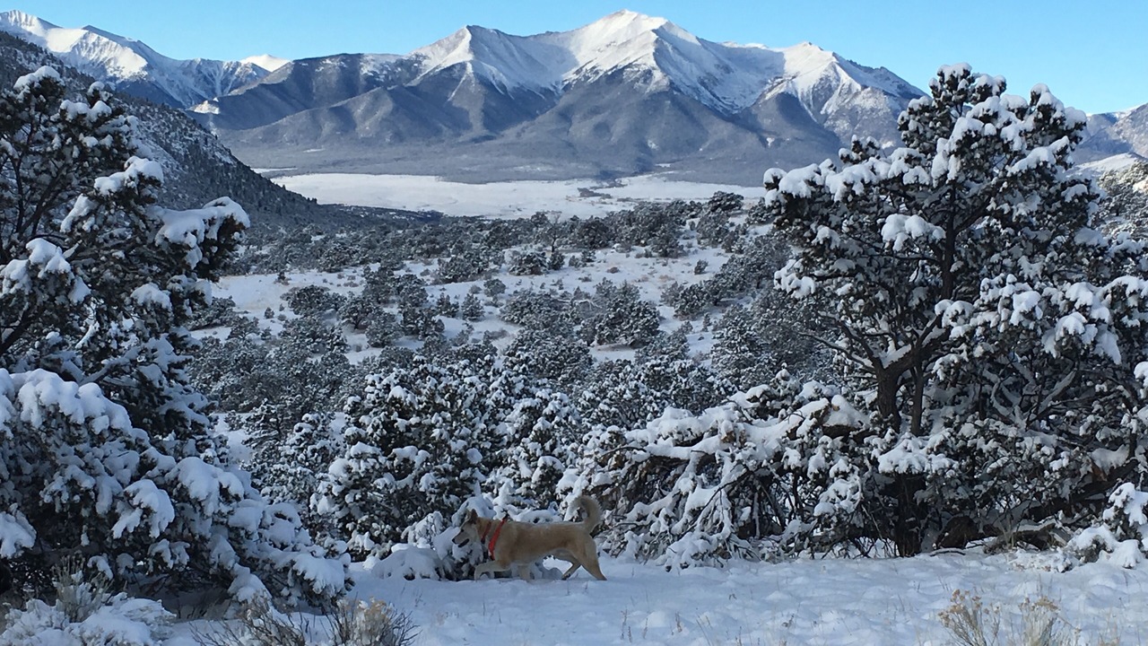Photo of Others in Buena Vista