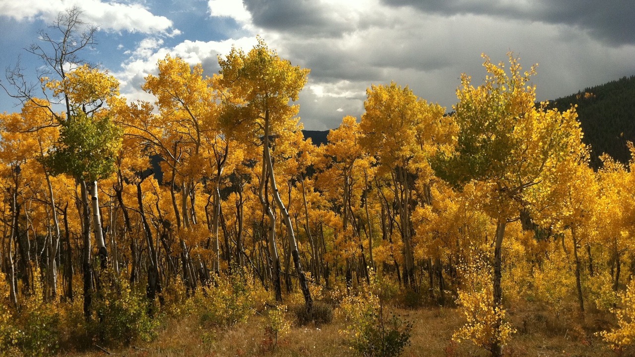 Photo of Outdoor in Buena Vista