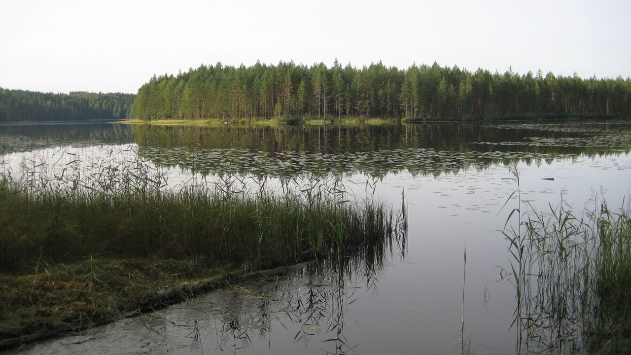 Photo of Outdoor in Kuortti