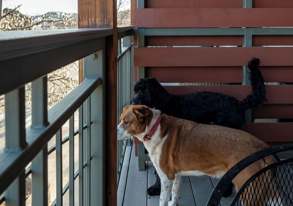 Photo of Outdoor in Estes Park