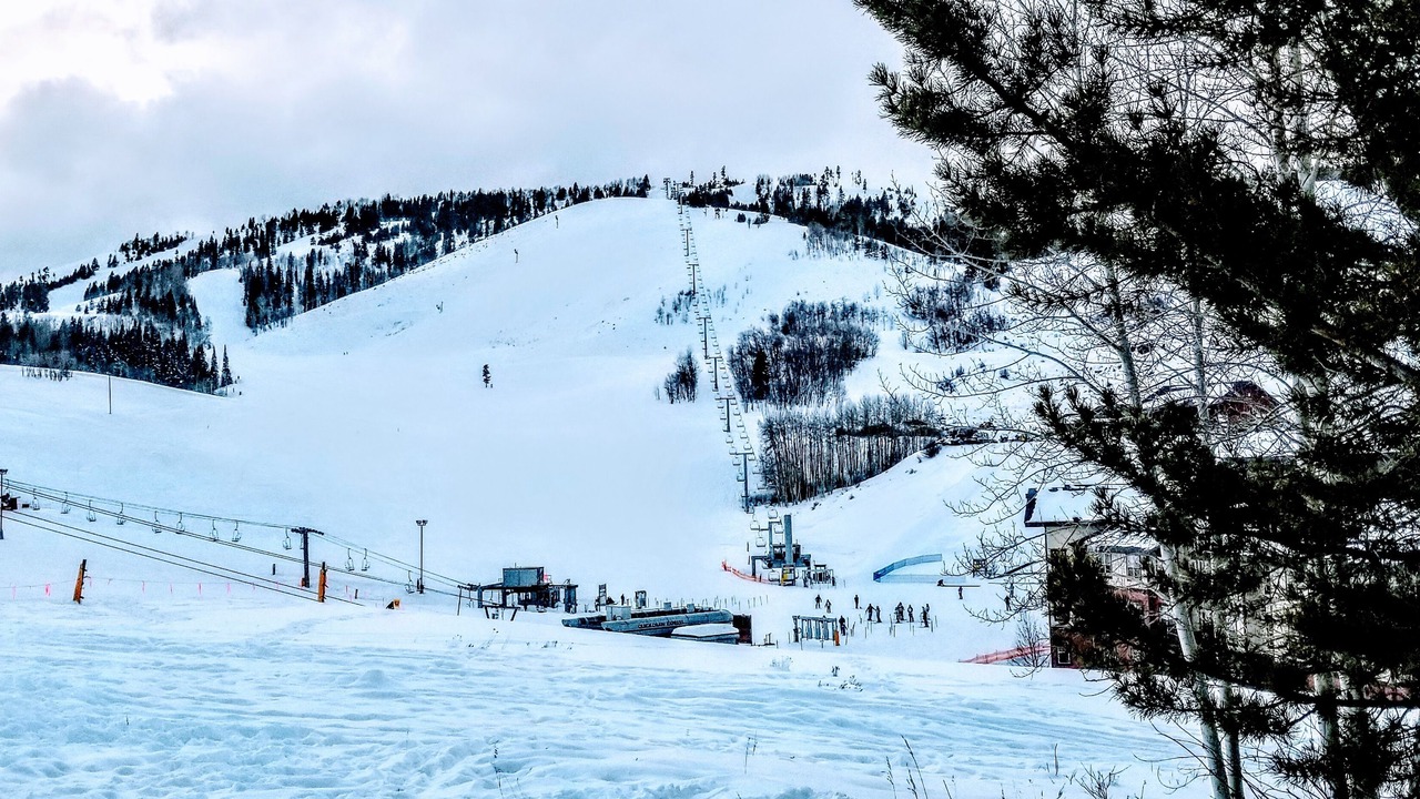 Photo of Others in Silvercreek