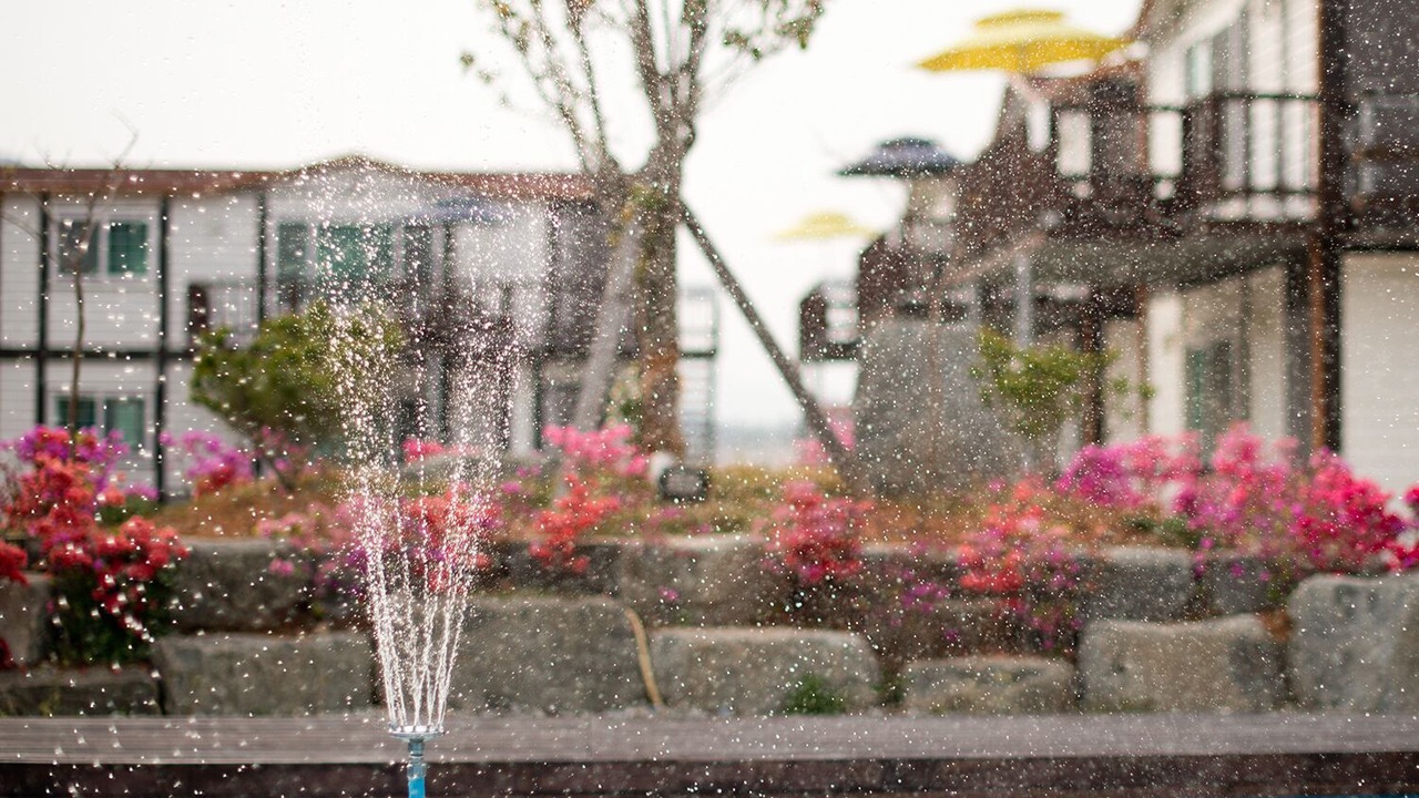 Photo of Outdoor in Wando