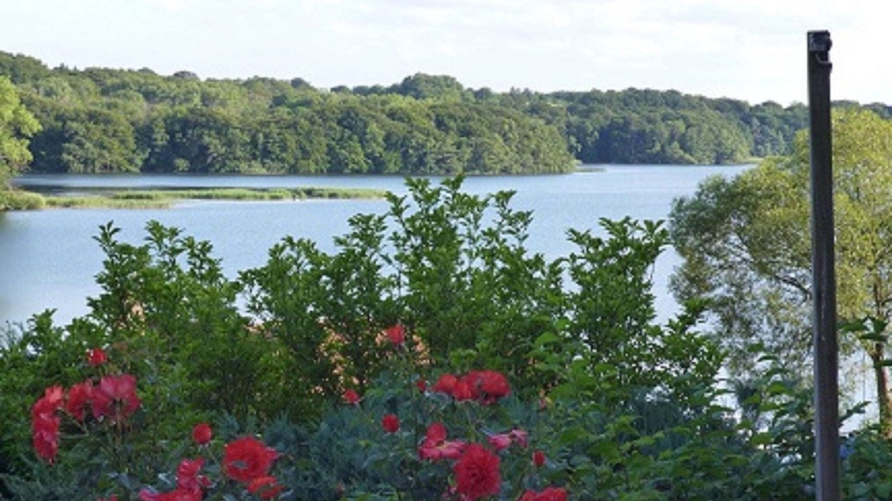 Photo of Others in Eutin