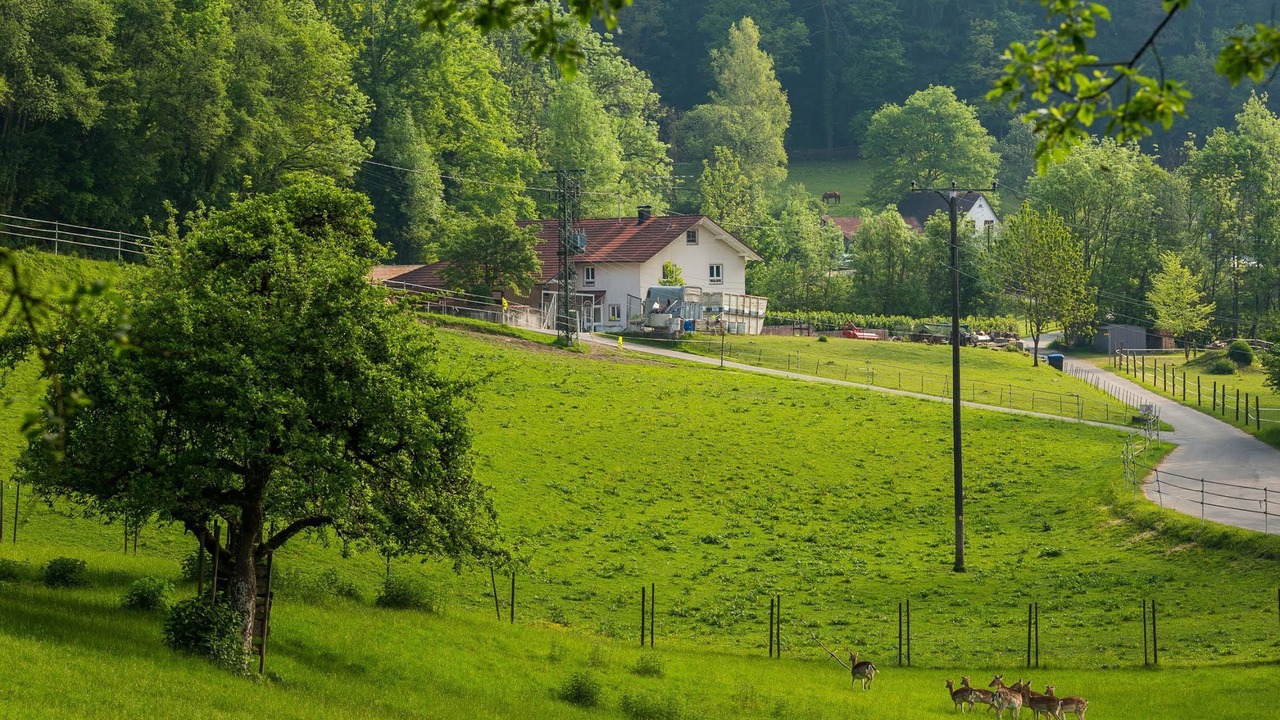 Photo of Outdoor in Horgenzell