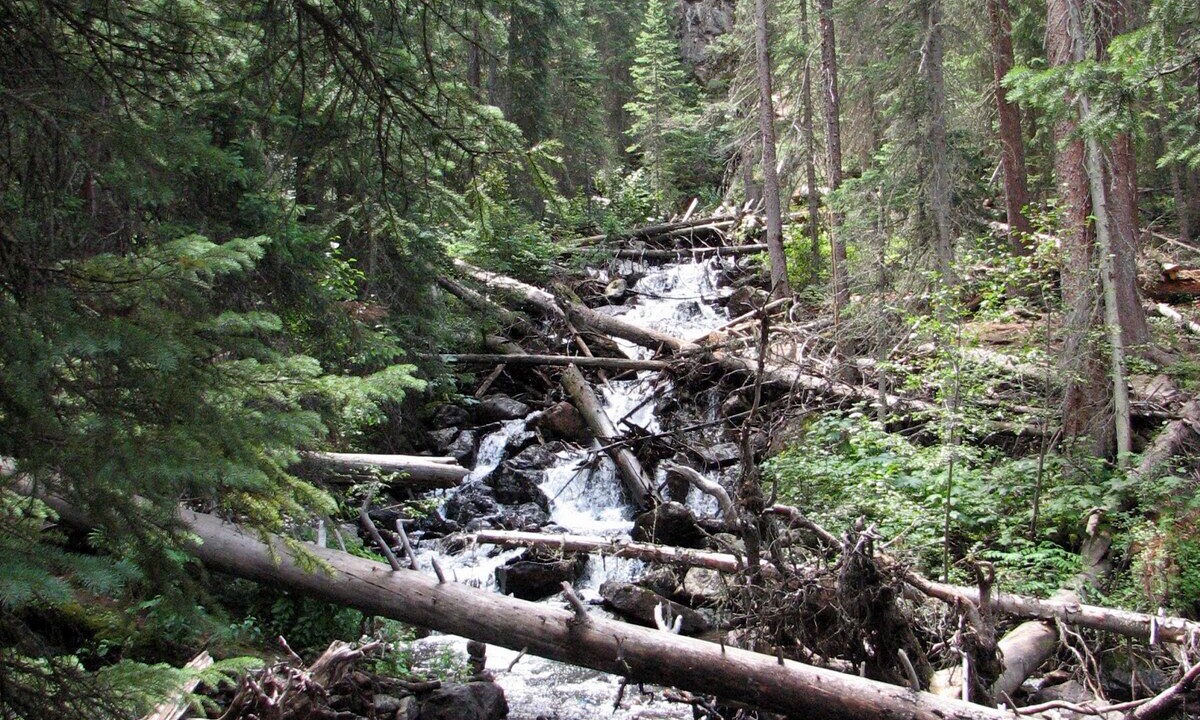 Photo of Outdoor in Dillon