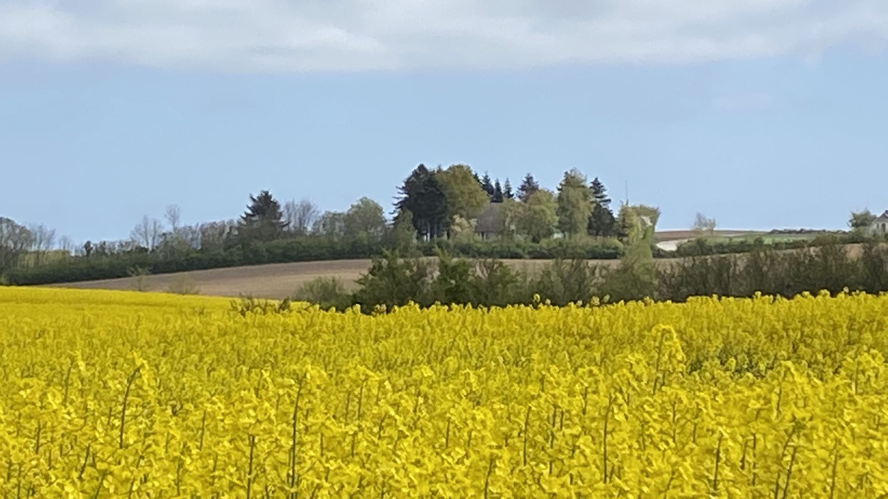 Photo of Others in Wittkiel