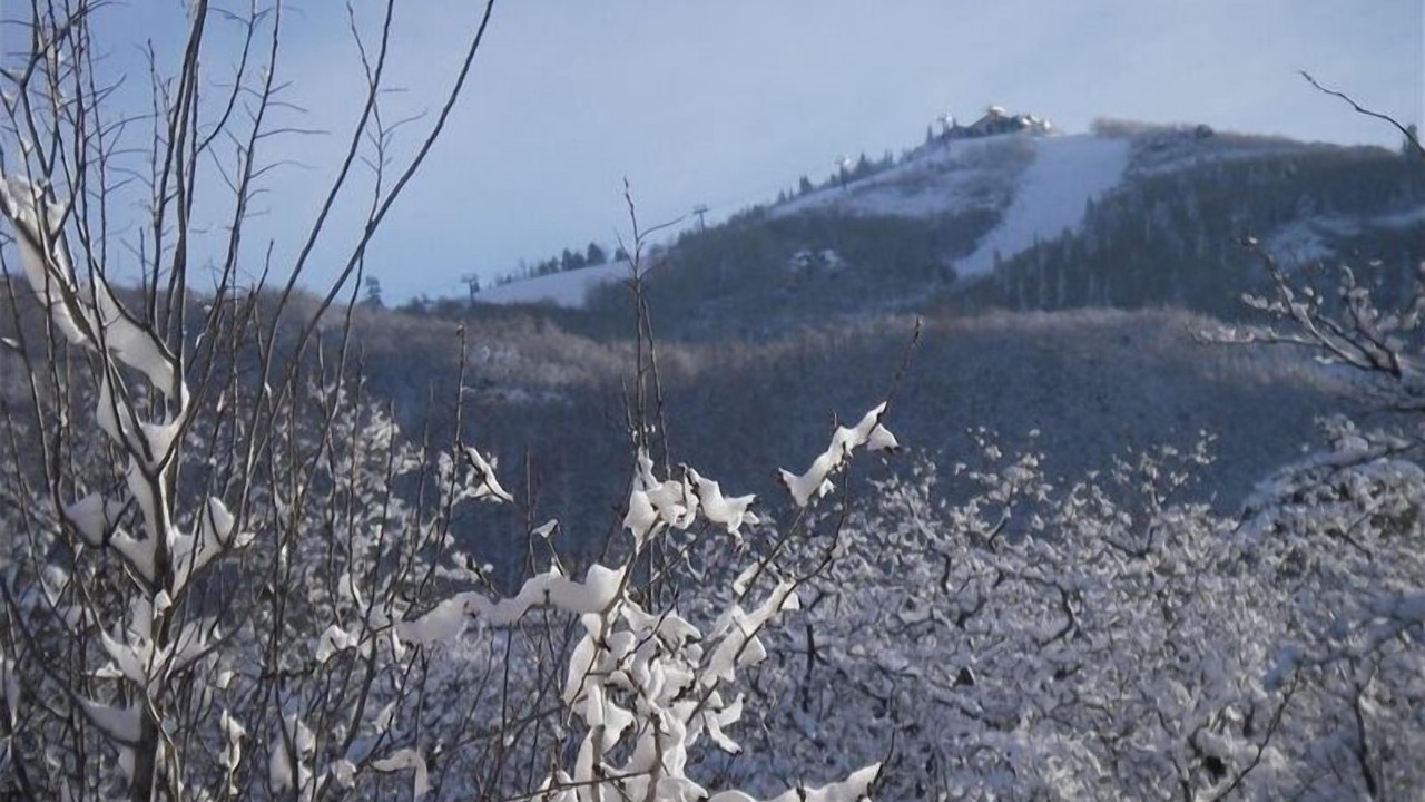 Photo of Others in Steamboat Springs