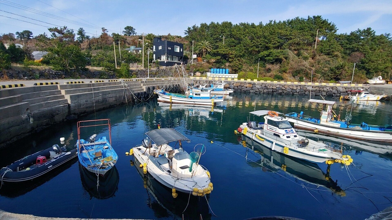 Photo of Others in Jungmun