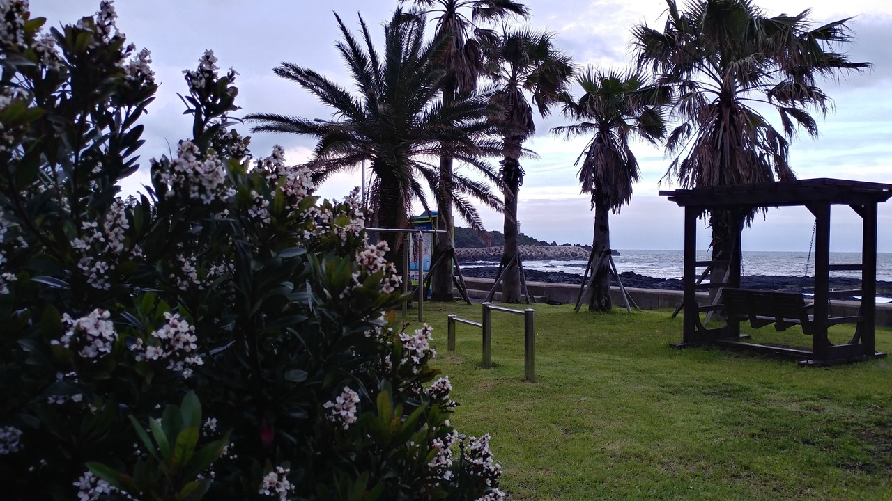 Photo of Outdoor in Jungmun