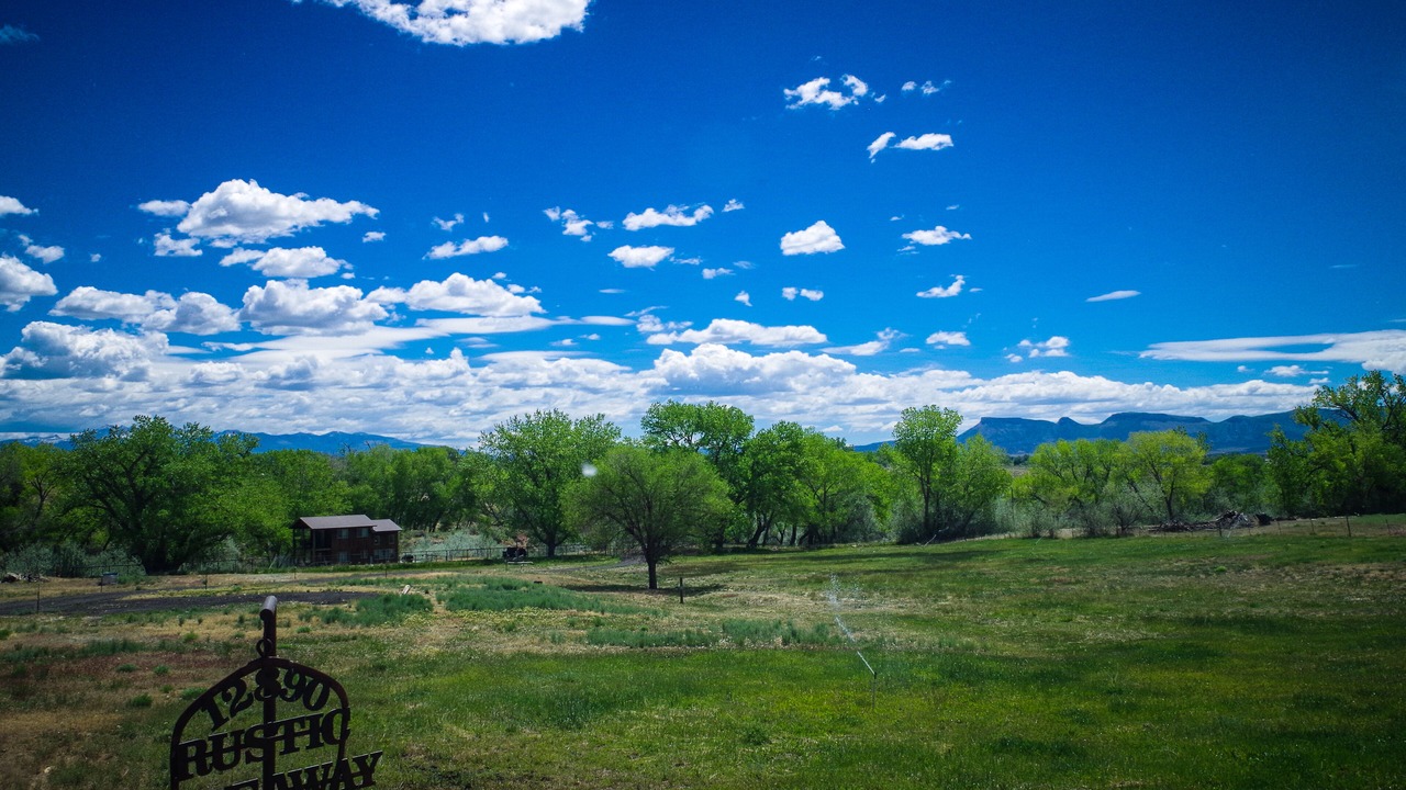 Photo of Others in Cortez