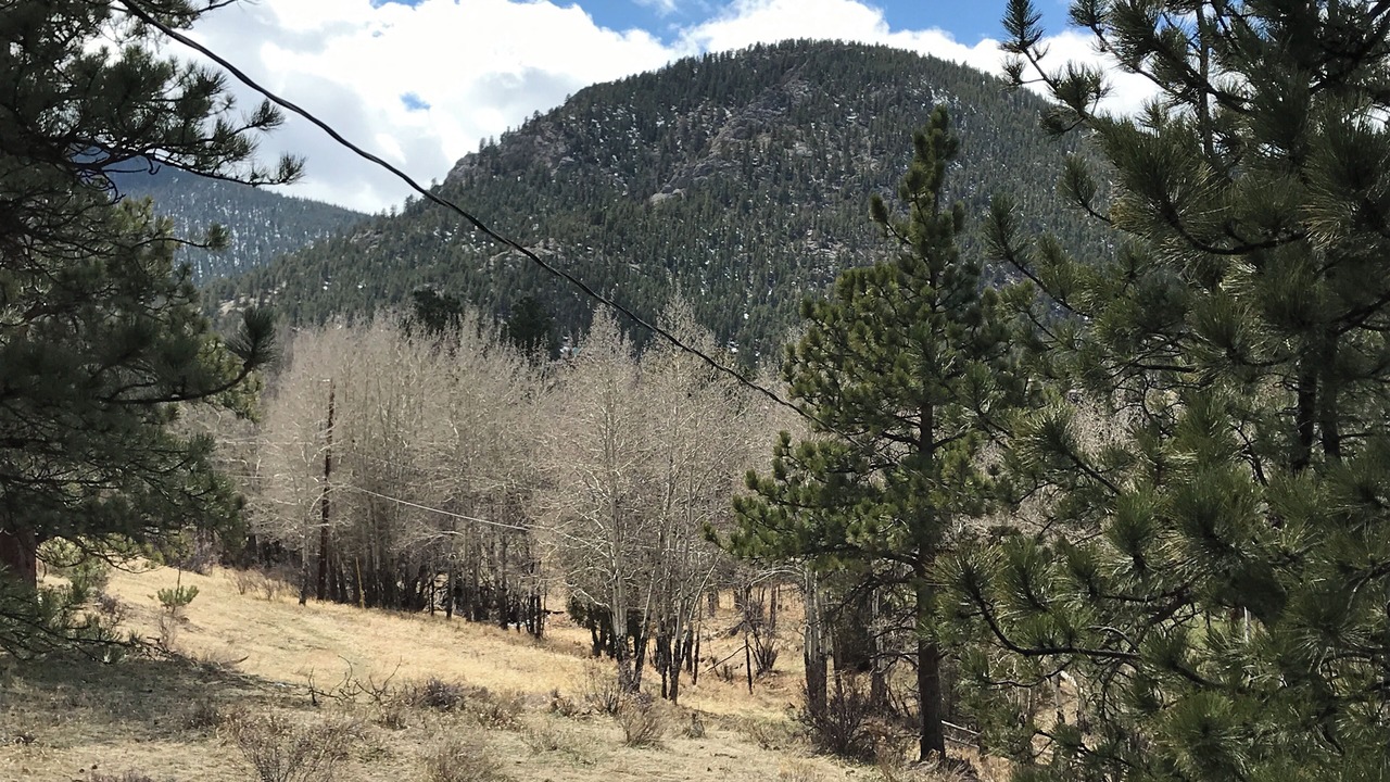 Photo of Outdoor in Estes Park