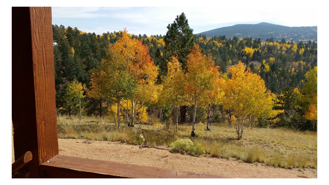Photo of Others in Cripple Creek